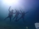 ちぃさんのDIVE&HOUSE FUTOへの投稿写真2