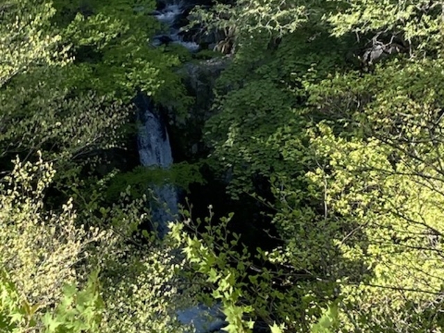 小泉の滝