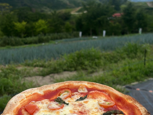とまと!自然!_季節の収穫体験 四時農場 油山
