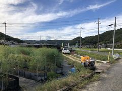 ぴろぴろ16さんの石井ファームへの投稿写真1