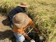 りえさんのあけぼの農園の投稿写真1