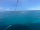 ゆ。さんのパラセーリング ブルーホヌへの投稿写真2