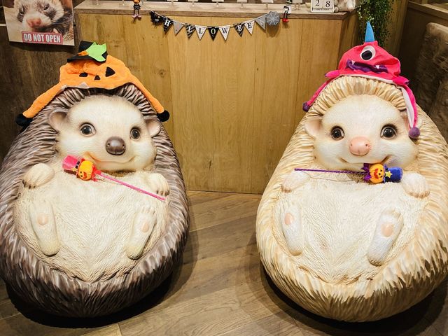 お店入口_HARRY横浜店