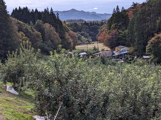 素晴らしい眺めですよ!!!!!
_佐川果樹園
