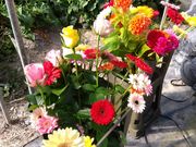 ますみさんのかわさき花園の投稿写真2