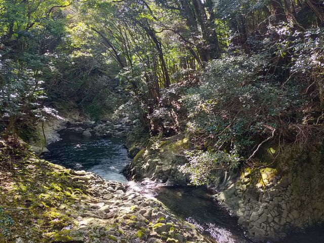 下流方向_猿田淵遊歩道