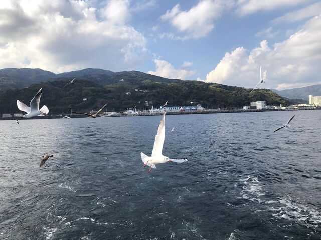 船尾部分から_はるひら丸遊覧船イルカ号