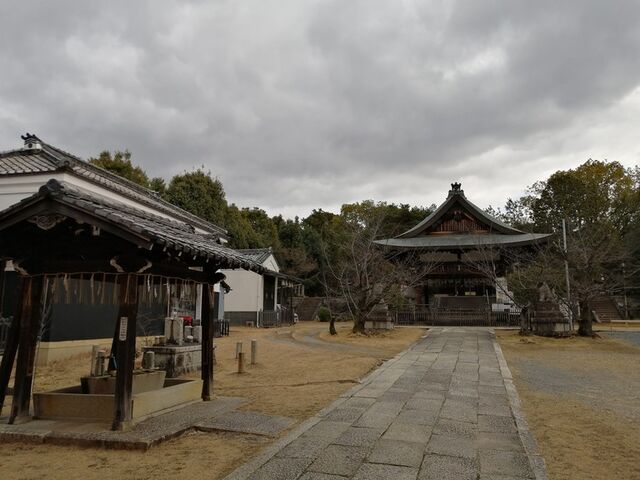 境内_新日吉神宮