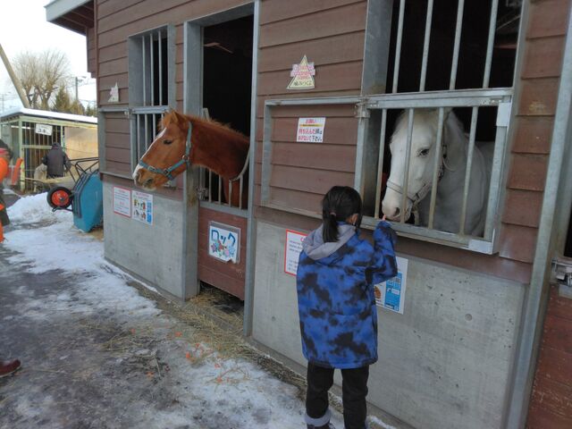 私は少し怖くて近寄れません。_ふれあい動物園(帯広競馬場内)