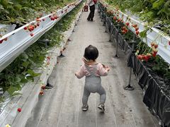 えりかさんのたにい農園への投稿写真1