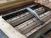 ウッキーさんの松葉バーベキューの投稿写真1