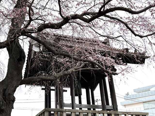 長松院