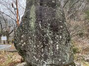 Shotaさんの夏井川渓谷の投稿写真1