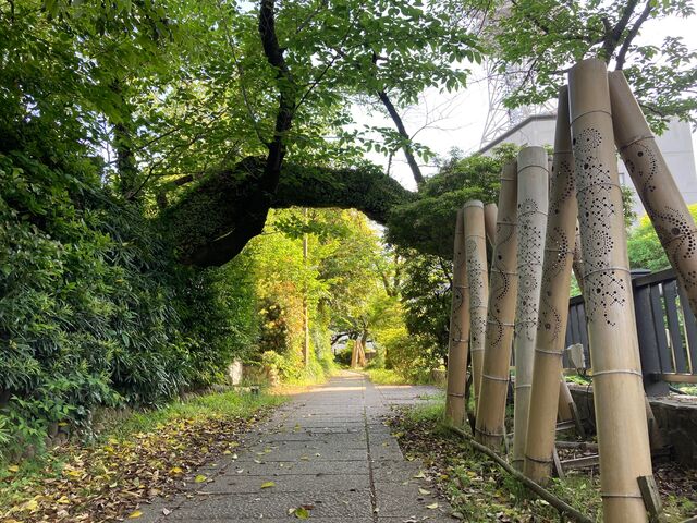 まつかわ遊歩道_まつかわ遊歩道
