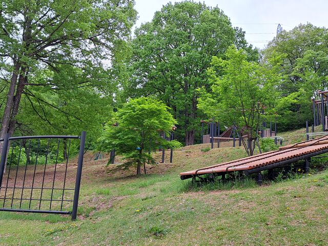 なおさんの片曽根山森林公園の投稿写真1