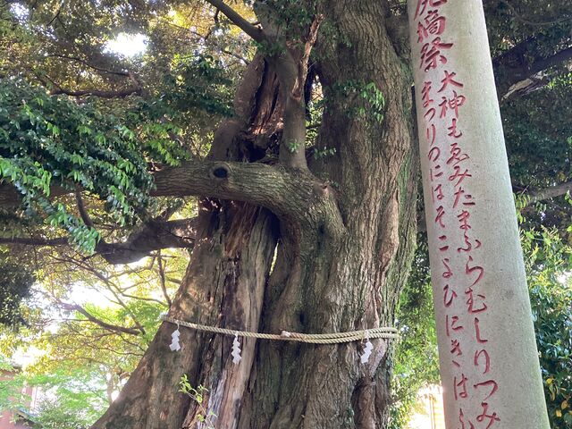 音無神社_音無神社
