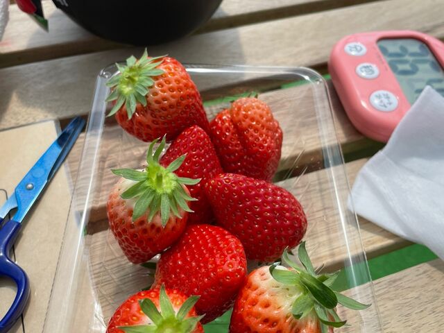 まいうー_淡路島いちご農園 はる苺