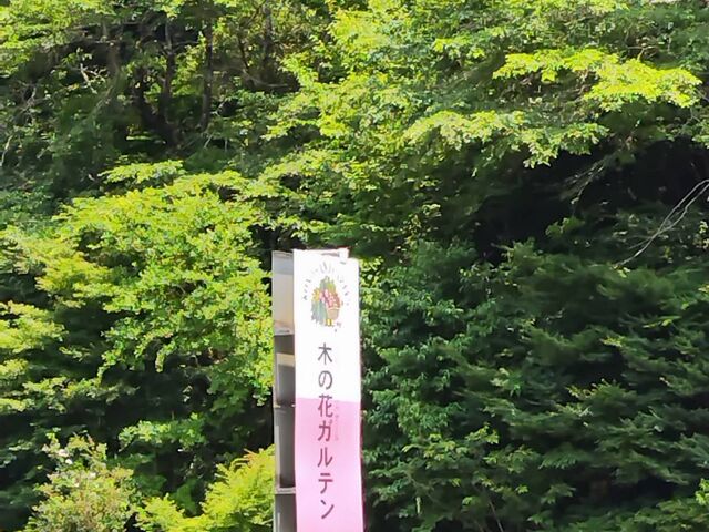 木の花ガルテン 大山店