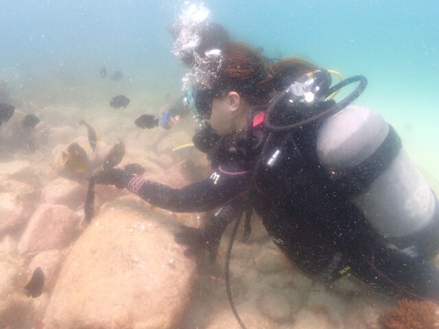 海がとても綺麗です!_シーエアー柏島