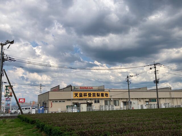 農産物直売所よらん野_農産物直売所よらん野