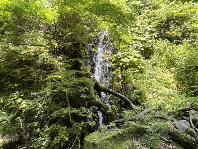 剣龍滝。緑に包まれた一本の水流。_高瀬峡