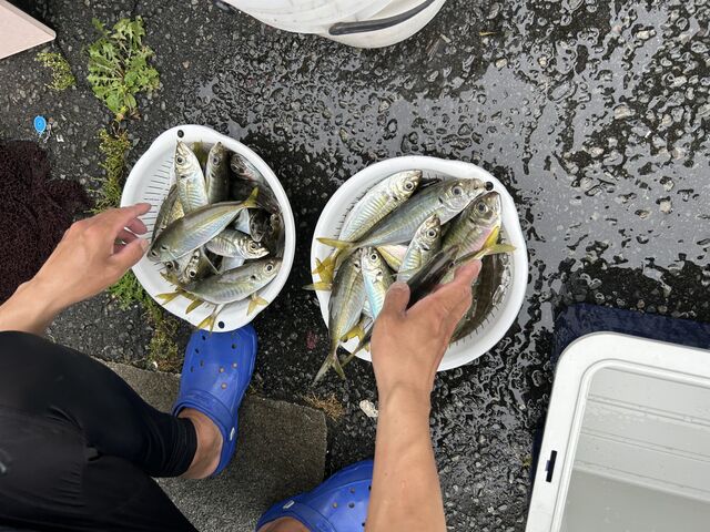 これから下処理するよ!_戸田港 福将丸