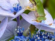 yu‐cyanさんの四季の里 緑水苑の投稿写真1