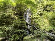 イワダイさんの高瀬峡の投稿写真2