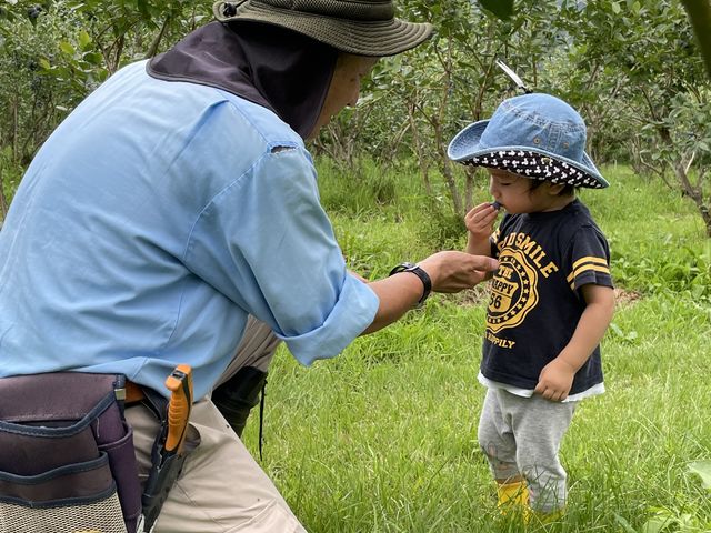 3番目の子に、ブルーベリーを取っていただき助かりました。_つくしファーム