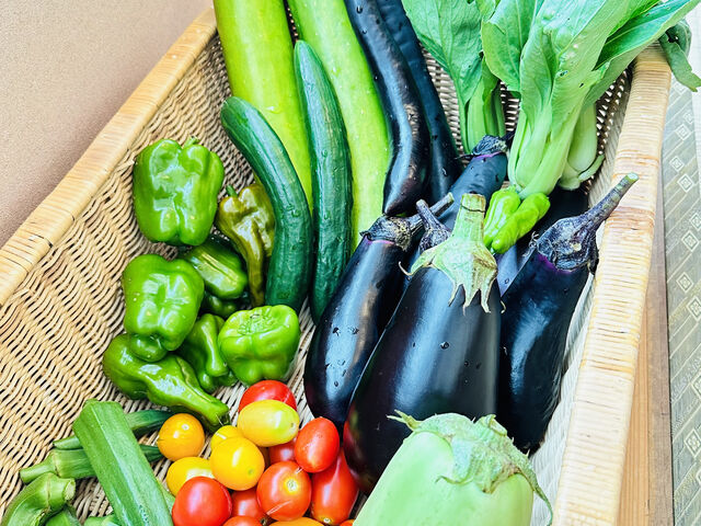収穫した野菜の一部_空と大地の丘 森本農園