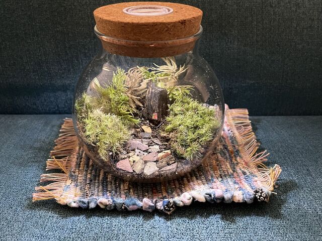 集中して作品を作ると心が癒されます。_苔庵介る-Scale-