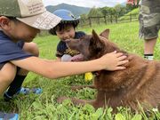 えみさんのつくしファームの投稿写真2