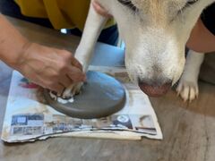 陶芸体験 亀工房の写真1