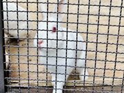 ガッツリフルスイングさんの栗山公園の投稿写真1