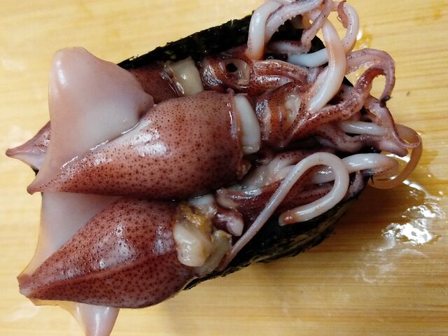 ホタルイカ_寿し宏