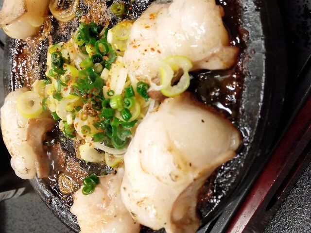 シロコロ_寿し宏
