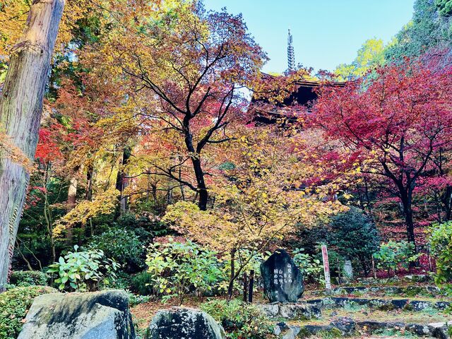金剛輪寺 三重塔_金剛輪寺 三重塔