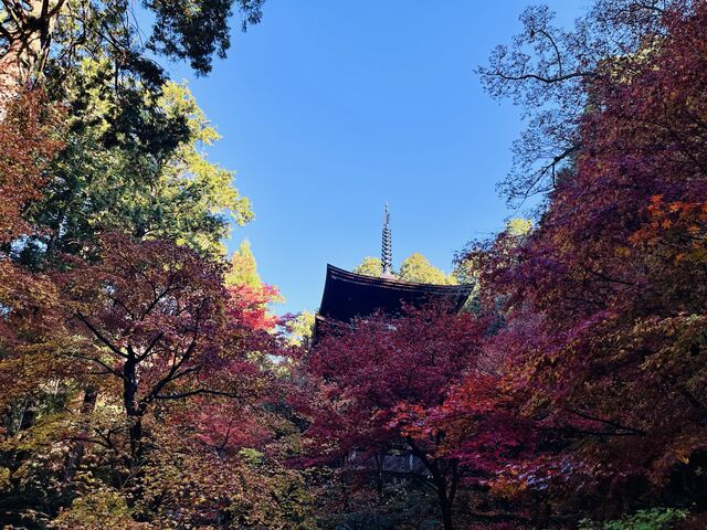 金剛輪寺 三重塔_金剛輪寺 三重塔