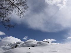 旅ヨガ 〜大雪山の麓で外ヨガ・自然ハイク〜の写真1