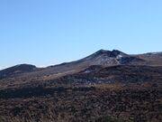 サクラサクさんの伊豆大島の投稿写真4