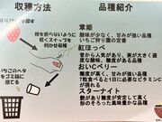 はるママさんの光月いちご園の投稿写真2