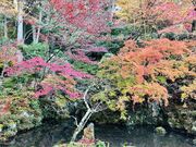 ぷぅさんの明寿院(金剛輪寺本坊)の投稿写真1