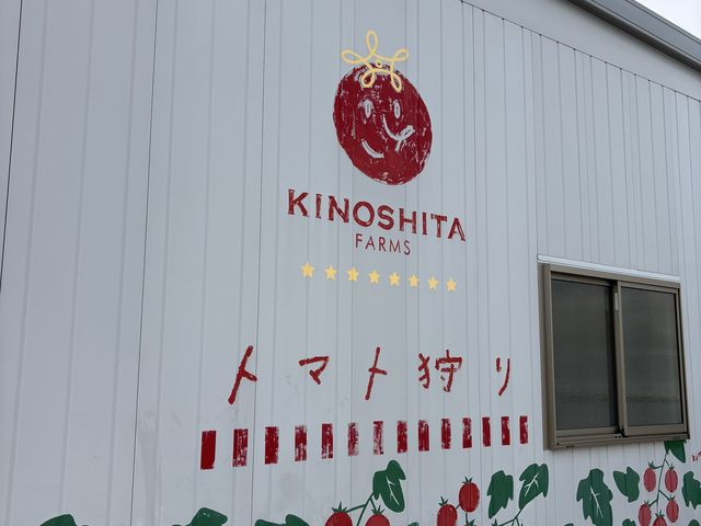 トマト狩り_キノシタファーム