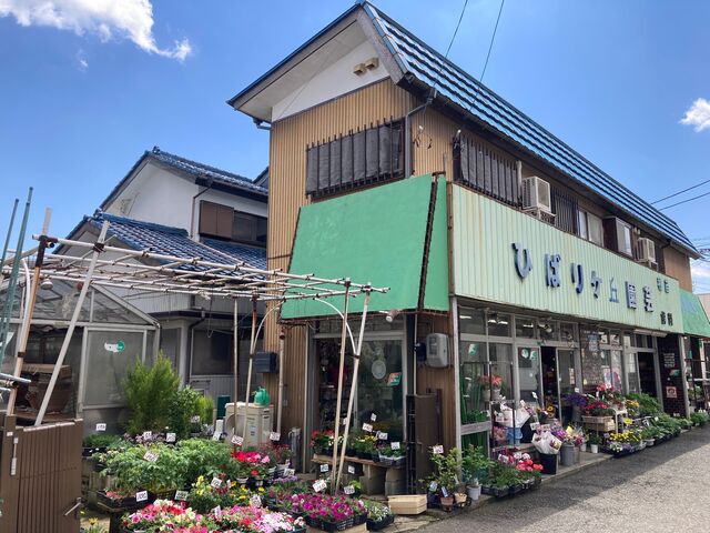 ひばりが丘園芸_ひばりが丘園芸