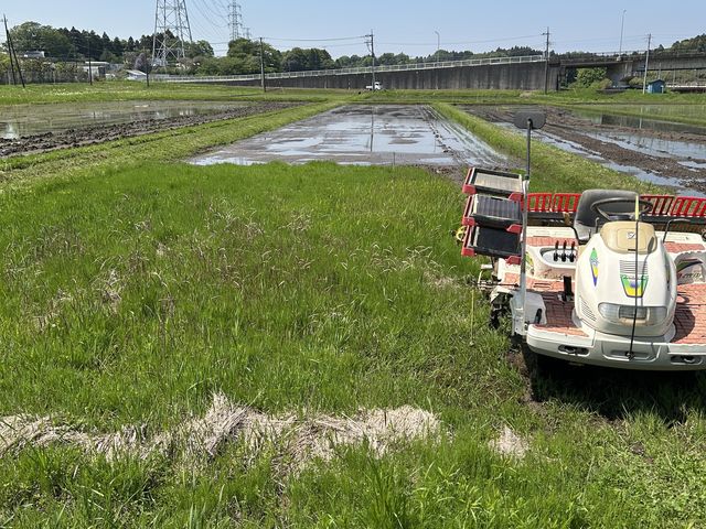 施設から徒歩5分くらいのところにある田んぼにて行いました。意外と深くて膝までつかりました!_きのえねまがり家