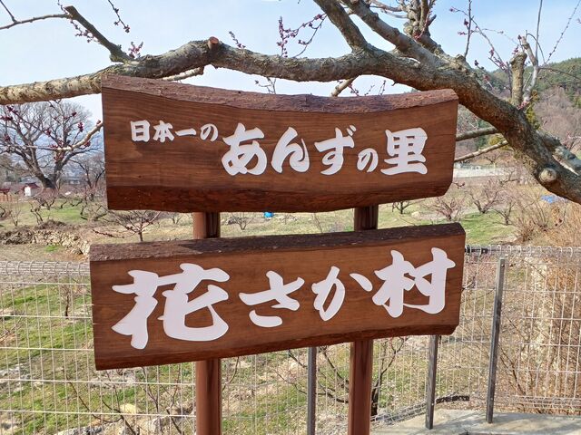 あんずの里 花さか村には、あんずソフトの販売やショップ、展望台が有ります。_あんずの里