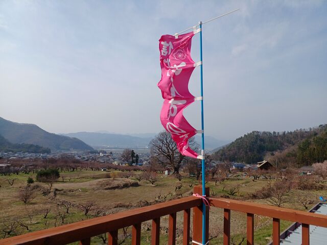 ショップの2階に有る展望台。北アルプス、戸隠連峰、善光寺平が見えます。※あんずの満開見てみたい…_あんずの里