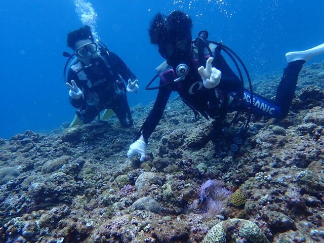 写真もたくさん撮っていただきました!_Miyako Blue Trip