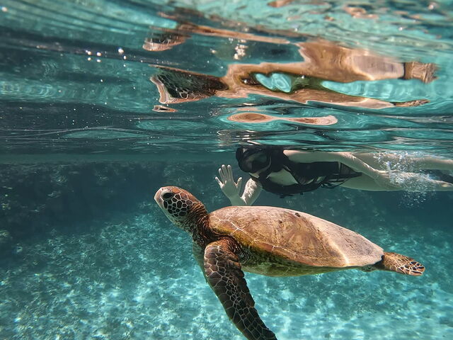 ウミガメと!_Nami宮古島
