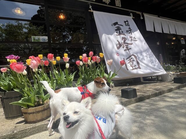 素敵なカフェがあり
お団子を焼きながら食べました_鳥海山&奈曽の白滝